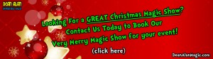 Virginia Magician Christmas Magic Show